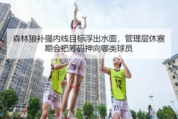 森林狼补强内线目标浮出水面，管理层休赛期会把筹码押向哪类球员